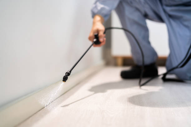 Licensed Cockroach Control service in Fairfield, IA - Nex Pest Control