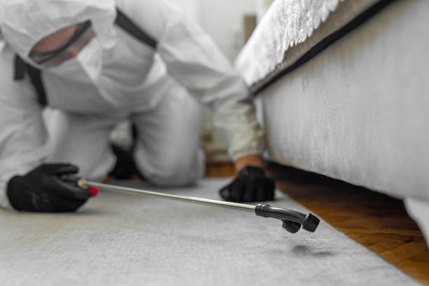 Professional Cockroach Control technician working in Fairfield, IA