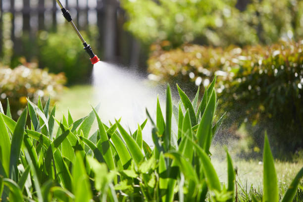 24/7 Emergency Cockroach Control experts in Fairfield, IA