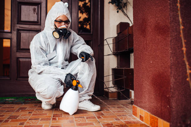 Reliable Cockroach Control contractor in Fairfield, IA by Nex Pest Control