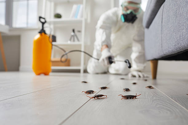 Affordable Cockroach Control solutions in Fairfield, IA